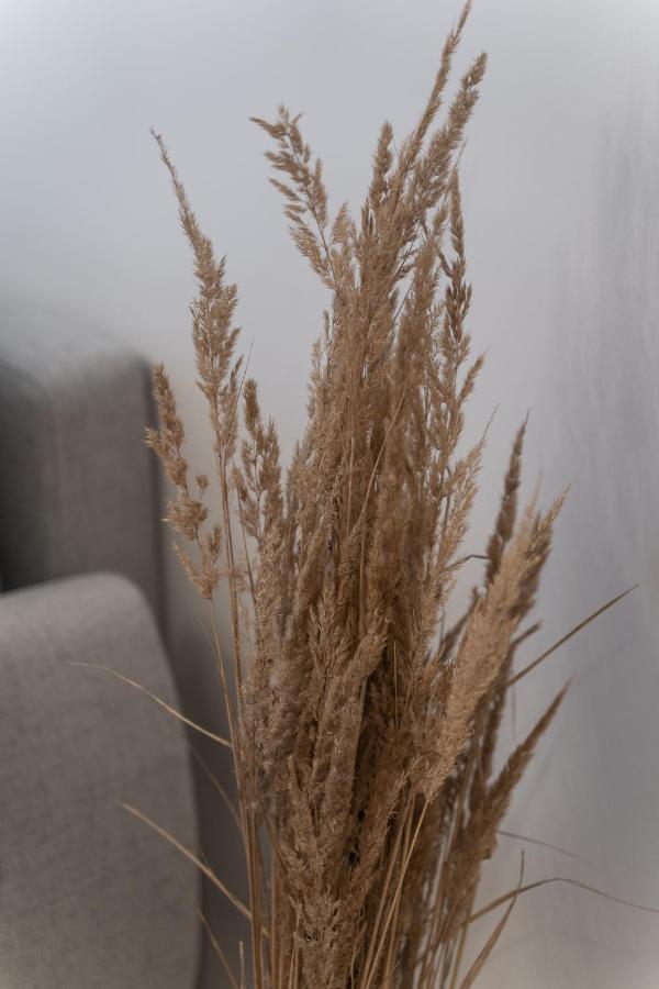 Apartamenty Munn 3 Stettino Esterno foto
